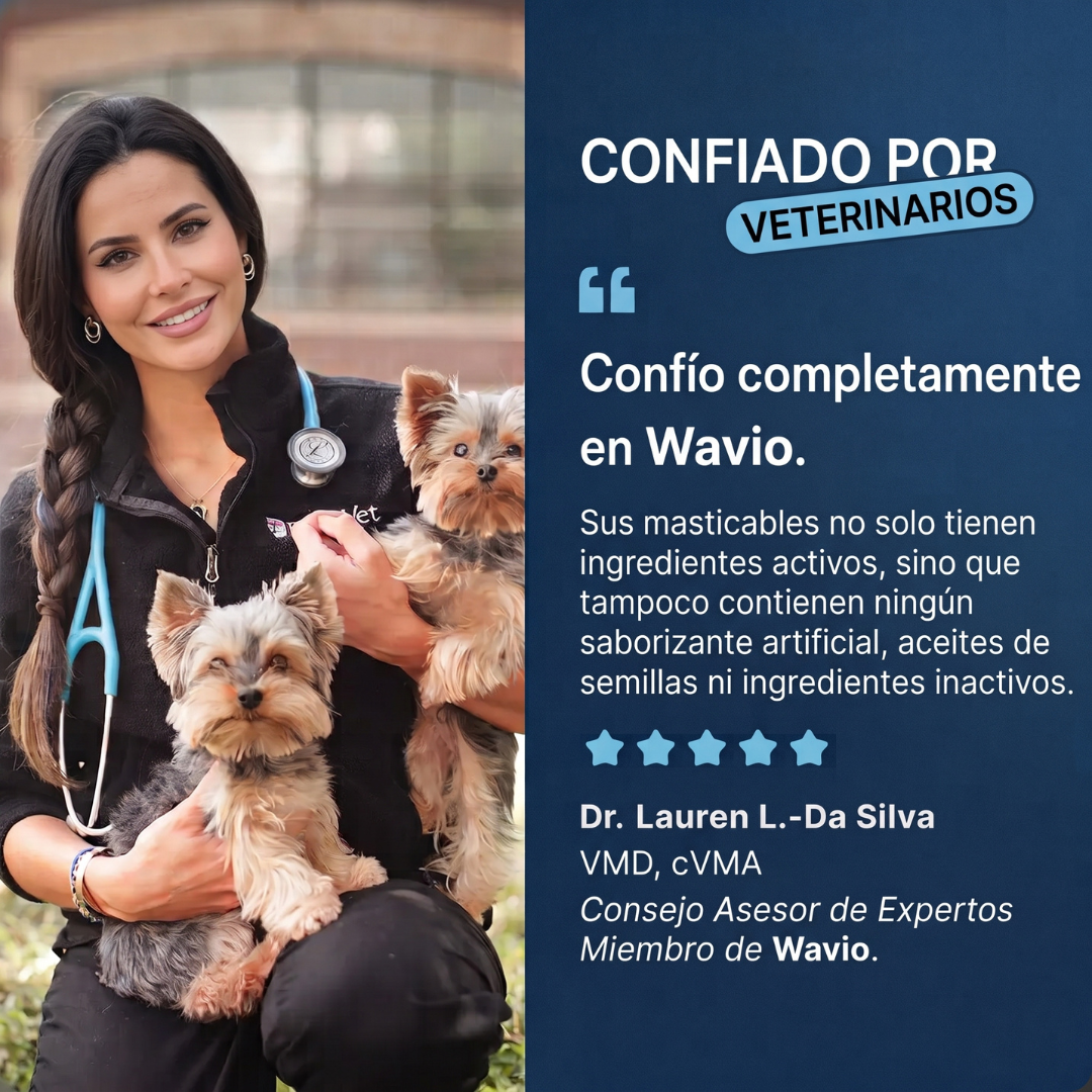 WAVIO™ Masticables para Movilidad y Articulaciones