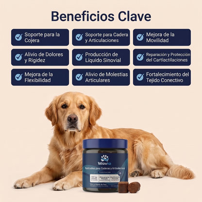 WAVIO™ Masticables para Movilidad y Articulaciones