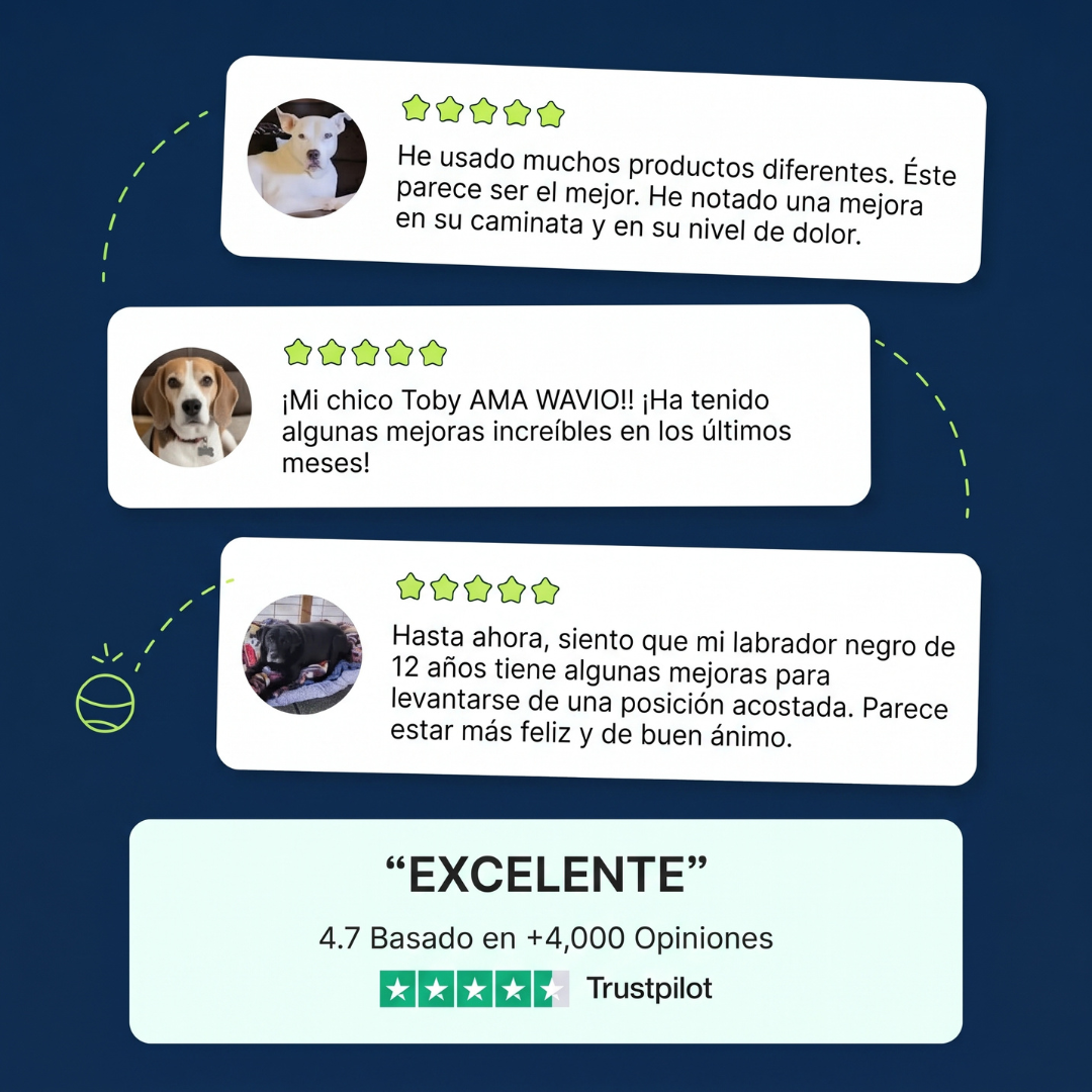 WAVIO™ Masticables para Movilidad y Articulaciones