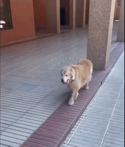 Después